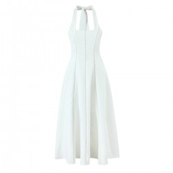 Cross-border foreign trade women's clothing 2025 summer European and American retro style waist-cinching, backless, neck-hanging mid-length dress for women