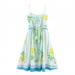 Cross-border foreign trade wholesale 2025 Summer New women's fashion, European and American style, sweet and fresh lemon print dress
